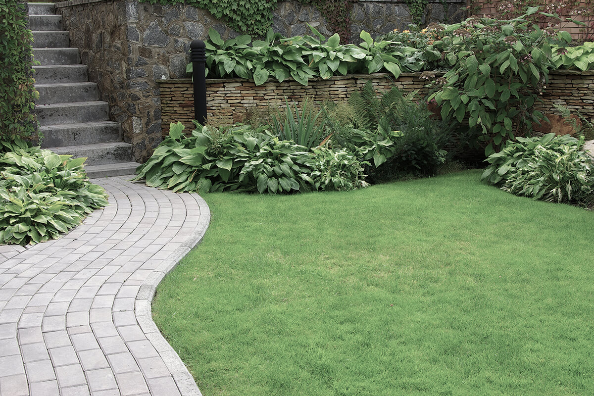 Welcome to Woodlands Landscaping